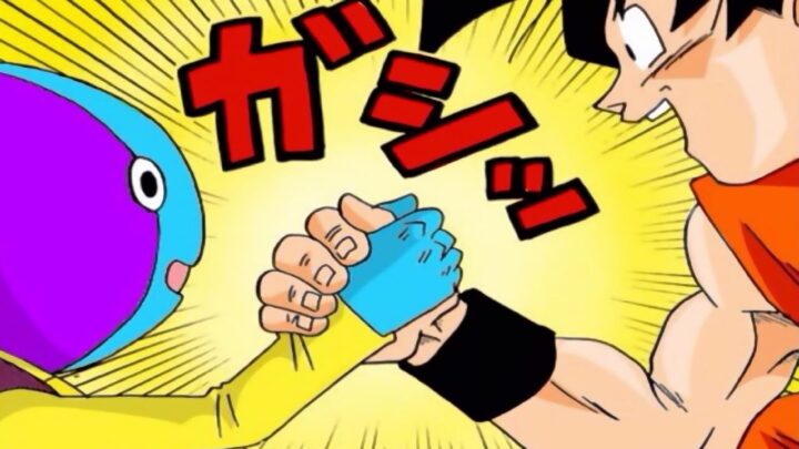Dragon Ball Super Manga 13